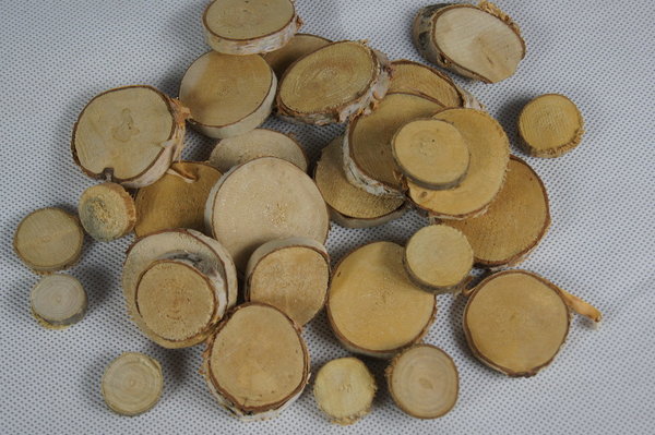 Birkenscheiben Holzscheiben rund