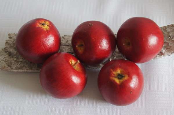 Deko Äpfel rot Dekofrüchte 5 Stk