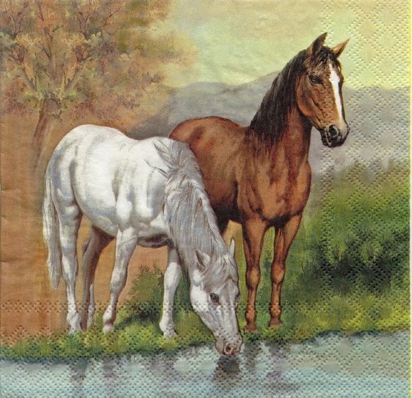 Servietten mit 2 Pferden
