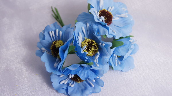 6 Blüten blau