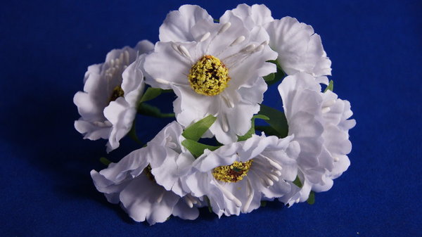 6 Blüten weiß