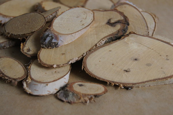 Birkenscheiben Holzscheiben oval