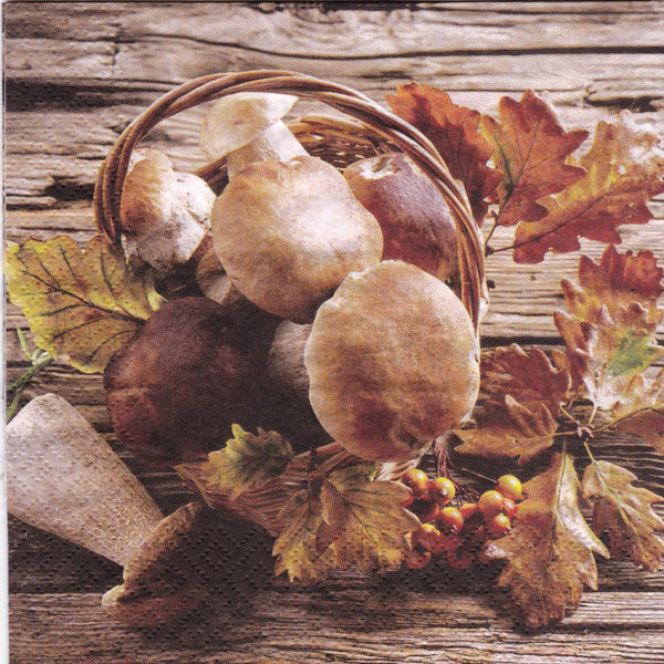 Servietten Herbst Pilze
